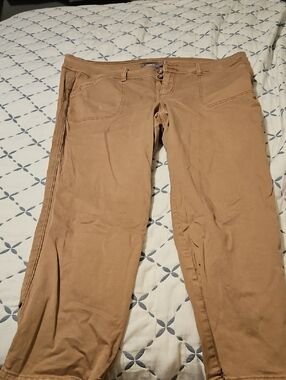 Torrid Pants